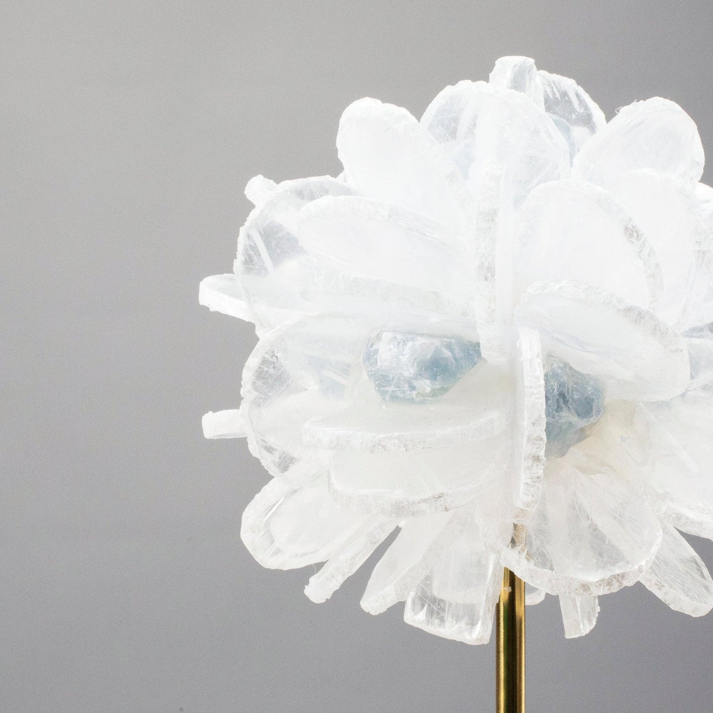 Selenite & Blue Celestite Flower on Brass and Acrylic Base - 18"