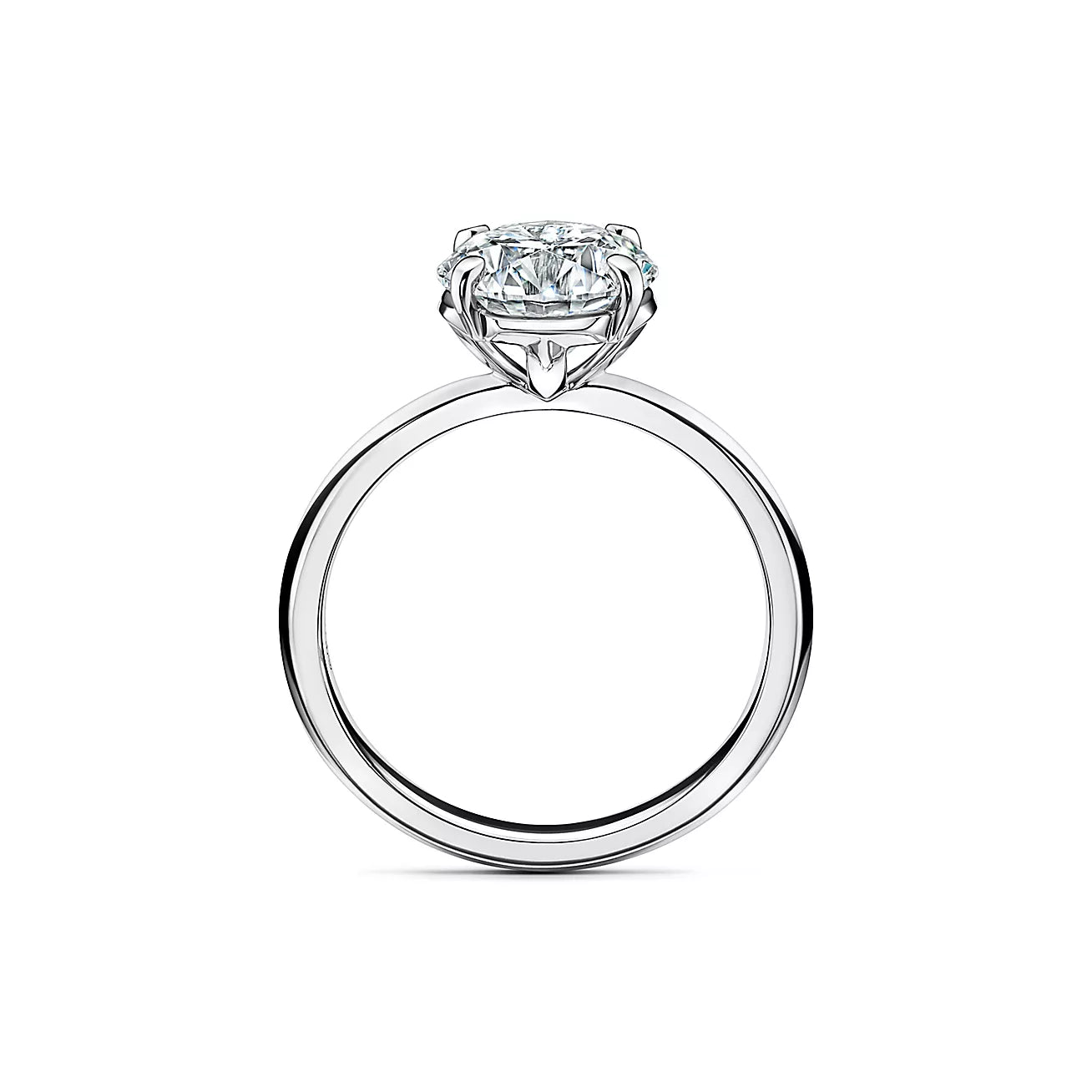 Engagement Ring With a Round Brilliant Gem